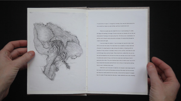Page spread for THE PAINTER AND THE BIRD