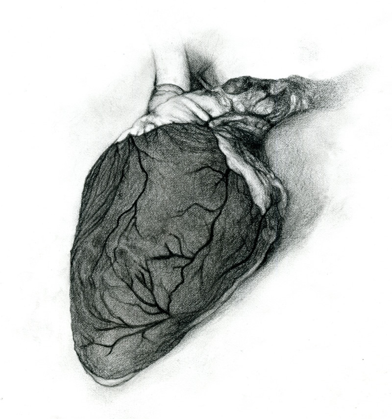 Illustration for THE PAINTER AND THE BIRD: Heart II